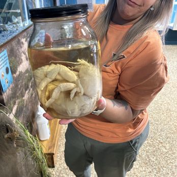 UTRGV Costal Studies Lab - Colleges & Universities Near Me - South Padre Island, Texas