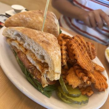 The Little Lion - Breakfast & Brunch Near Me - Ventura, California The Little Lion - Breakfast & Brunch Near Me - Ventura, California