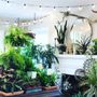 Photo of Botanologica