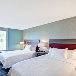 Home2 Suites by Hilton Tampa USF Near Busch Gardens - Guest room