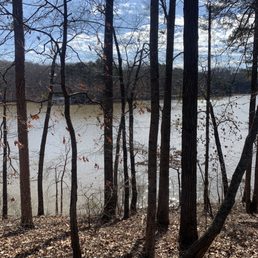 From one of the trails.