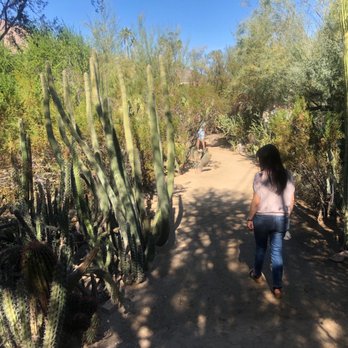 Moorten Botanical Garden - Nurseries & Gardening Near Me - Palm Springs, California Moorten Botanical Garden - Nurseries & Gardening Near Me - Palm Springs, California