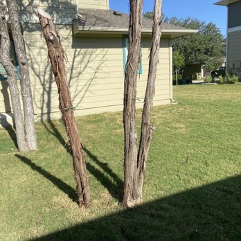 Sunlight Tree Service - Tree Services Near Me