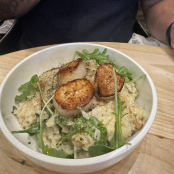 264 Fresco - Scallop Risotto. - Italian Near Me - Carlsbad, California