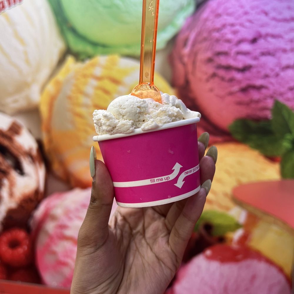 Chikoo Ice Cream Chikoo Ice Cream