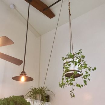 Red Kettle Coffee - Hanging beauties - Coffee & Tea Near Me - Summerland, California Red Kettle Coffee - Hanging beauties - Coffee & Tea Near Me - Summerland, California