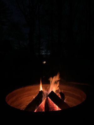 P. J. Hoffmaster State Park by null