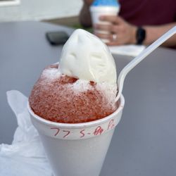 Sno To Go - Parrot head Stuffed SnoBall
