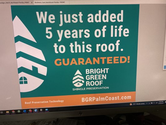 Bright Green Roof - Palm Coast Logo
