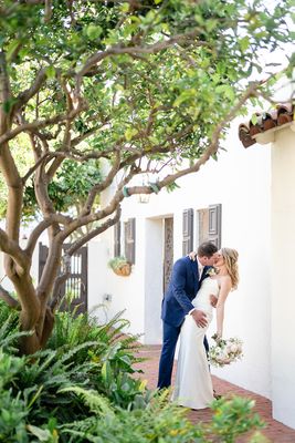 Darlington House by null