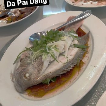 Dong Bei Da Pai Dang - Steamed Fish (don't remember what type) - Chinese Near Me - Queens, New York