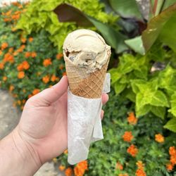 Howdy Homemade Ice Cream - Cold brew and cookies