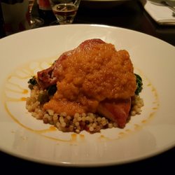 Coco Pazzo - Pollo Al Forno: Chicken with a goat cheese organic pumpkin mostarda sauce, pearl couscous pasta salad, series chard, and spicy olive oil.