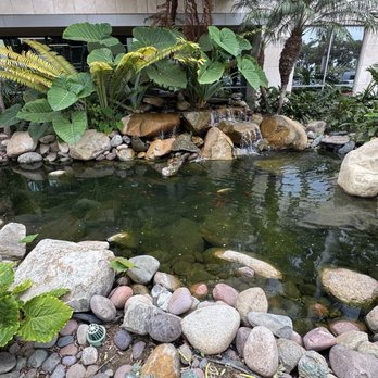 Café Carlsbad - One of the ponds - Coffee & Tea Near Me - Carlsbad, California