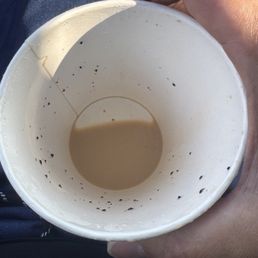 The last time I come to this Dunkin'.  Coffee grounds in my coffee.