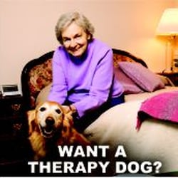 K9 Advisors Dog Training - Want a therapy dog?