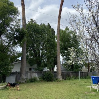 Millan Tree Service - After. No mess left behind. - General Contractors Near Me