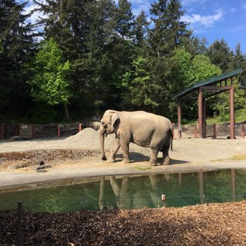 Point Defiance Park - Parks Near Me - Tacoma, Washington Point Defiance Park - Parks Near Me - Tacoma, Washington