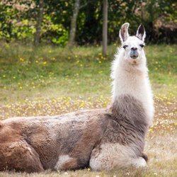 Barr-North Veterinary Services - Photo