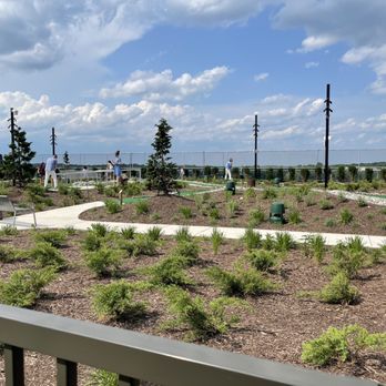 Perch Putt - Mini Golf Near Me - Tysons, Virginia