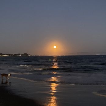Main Beach/Cowell Beach - Beaches Near Me - Santa Cruz, California Main Beach/Cowell Beach - Beaches Near Me - Santa Cruz, California
