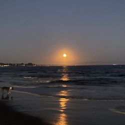 Main Beach/Cowell Beach