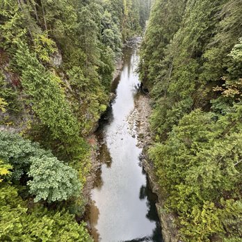 Capilano Suspension Bridge Park - Parks Near Me - North Vancouver, British Columbia