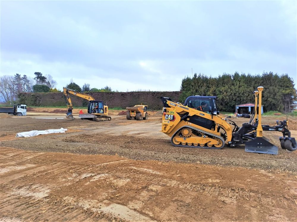 Synergeigh Consulting - tree service in Columbia, SC