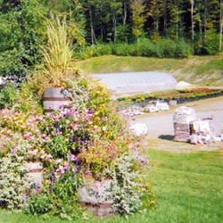 Country Caretaker - Near the entrance to Country Caretakers