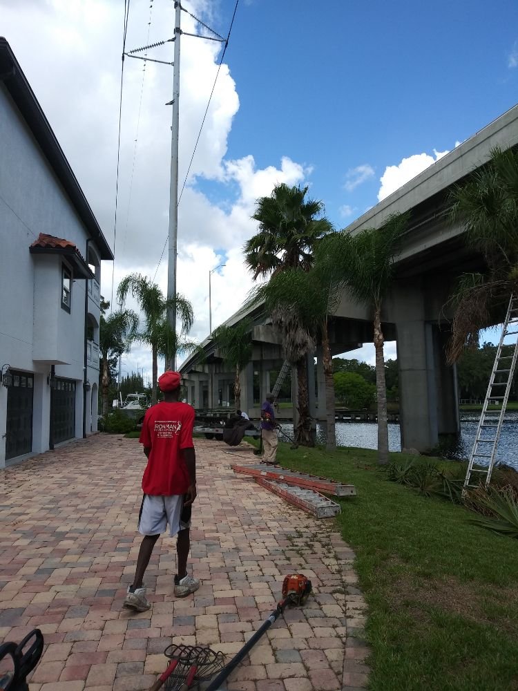 At Your Desir Tree & Lawn Services - tree service in Tampa, FL