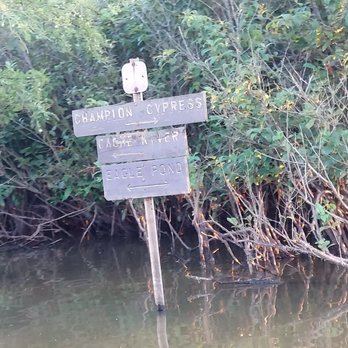 Cache Bayou Outfitters - Boating Near Me - Ullin, Illinois