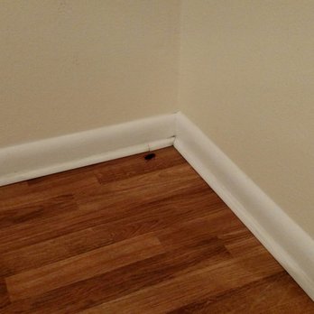 Coastal Realty & Property Management - Awoke to this at 3 am in our rental..... - Property Management Near Me - Saint Augustine, Florida