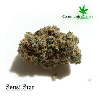 CommunityCann - Community Service/Non-Profit Near Me CommunityCann - Community Service/Non-Profit Near Me