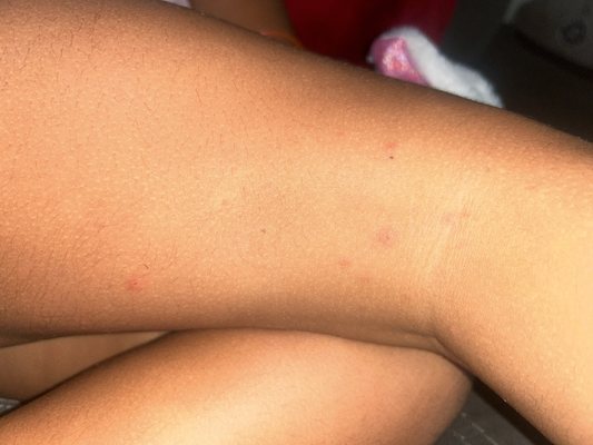 Chuck E. Cheese by null