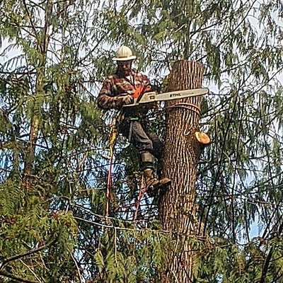 Tree Services - From storm damage cleanup to tree removal, we can do it all
Are your trees so overgrown that your yard looks like a jungle? Is there a tree leaning dangerously close to your home or power line? Keep your property safe and tidy with the help of Pilchuck Tree Service, LLC. We offer a wide range of tree services in the Granite Falls, WA area.
To get a free estimate on fruit tree care, tree replacements, storm damage cleanups and more, contact us today. Tree Services - From storm damage cleanup to tree removal, we can do it all
Are your trees so overgrown that your yard looks like a jungle? Is there a tree leaning dangerously close to your home or power line? Keep your property safe and tidy with the help of Pilchuck Tree Service, LLC. We offer a wide range of tree services in the Granite Falls, WA area.
To get a free estimate on fruit tree care, tree replacements, storm damage cleanups and more, contact us today.