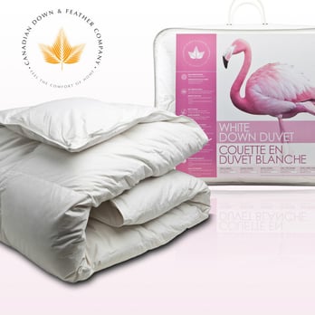 Canadian Down and Feather Company - Home Decor Near Me - Toronto, Ontario Canadian Down and Feather Company - Home Decor Near Me - Toronto, Ontario