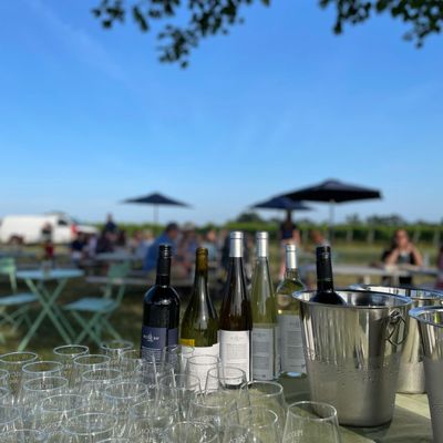 Peconic Bay Vineyards by Krissie Wines by null