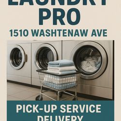 Laundry Pro