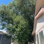 Photo of Joe’s Landscaping