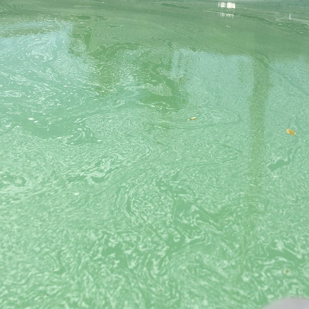 Leslie's Pool Supplies - Hot Tub & Pool Near Me - Burbank, California