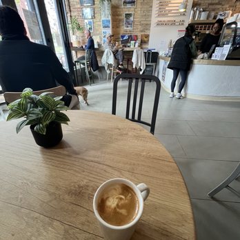 Society Coffee - Cortado - Cafes Near Me - Chicago, Illinois