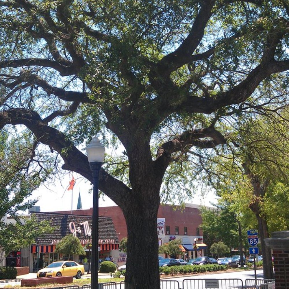 Auburn University - Colleges & Universities Near Me - Auburn, Alabama Auburn University - Colleges & Universities Near Me - Auburn, Alabama
