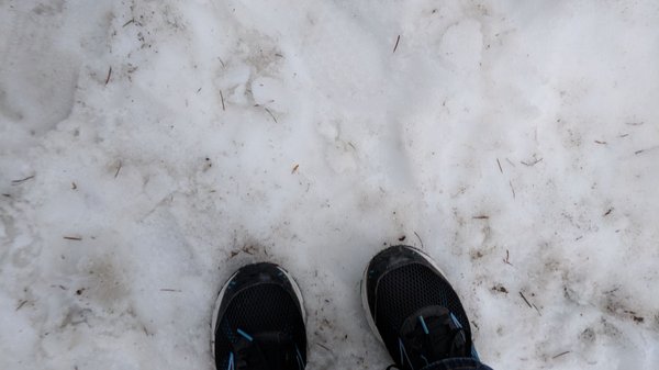 Brandywine Falls Provincial Park by null