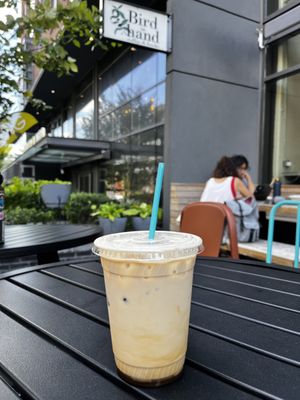 Bird in Hand by null