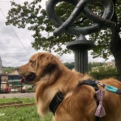 Pretzel Park