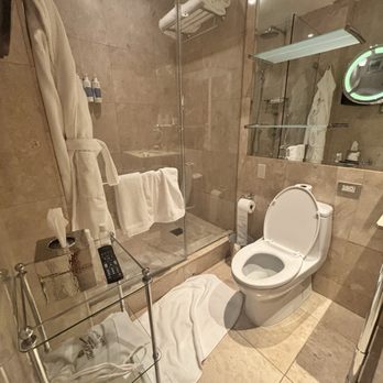 The Pierre - Hotels Near Me - New York, New York