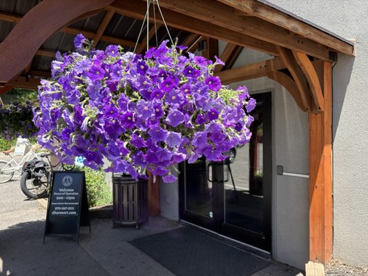 Durango Hot Springs Resort & Spa by null