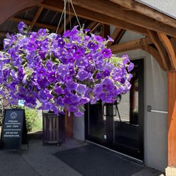 Durango Hot Springs Resort & Spa
