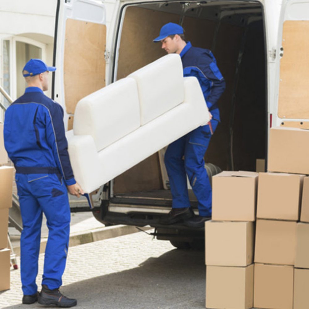 THE BEST 10 MOVERS near FRASCATI, ROMA, ITALY - Updated 2026 - Hours - Yelp, image size:1000x1000