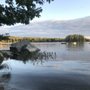 Photo of Branch Lake Camping